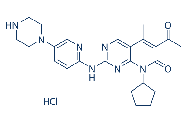 Palbociclib (PD-0332991) HCl