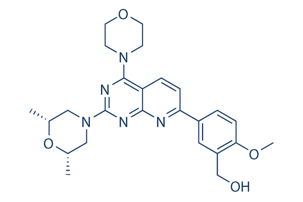 KU-0063794