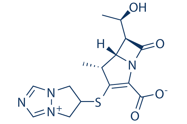 Biapenem