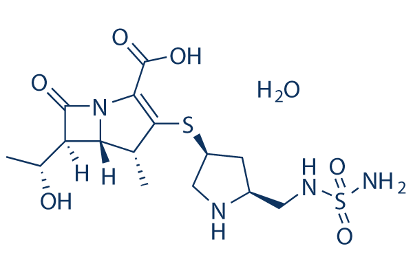 Doripenem Hydrate