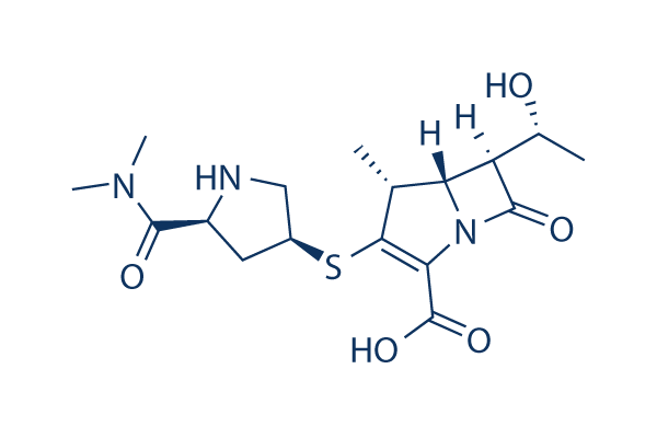 Meropenem