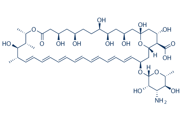 Amphotericin B