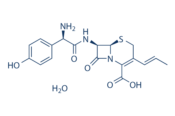 Cefprozil hydrate