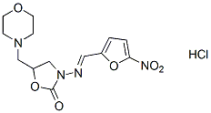 Furaltadone HCl