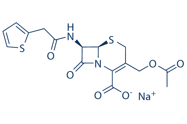 Cephalothin