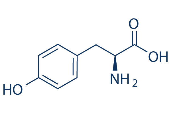 l-tyrosine