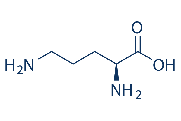 L-Ornithine