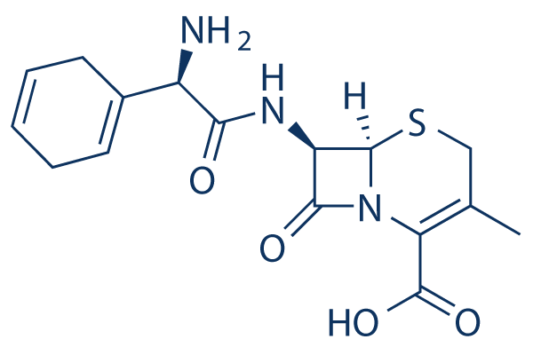 Cefradine