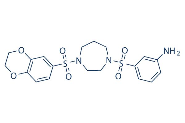 DASA-58