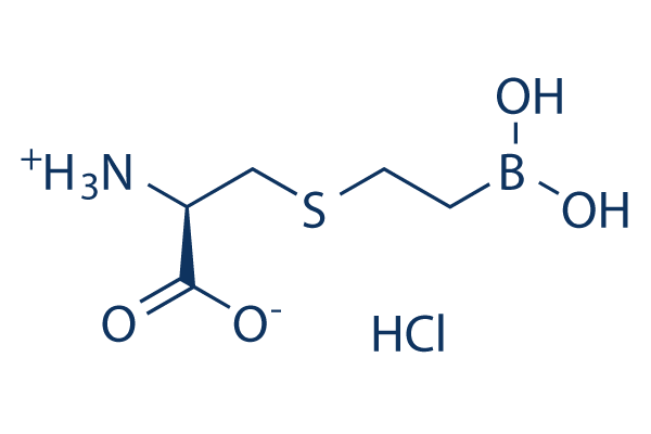 BEC HCl